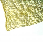 HETZ190-00